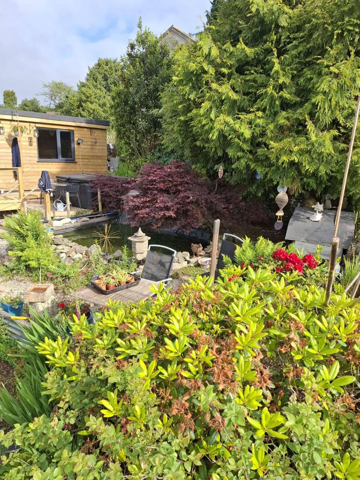 Cosy Cornish Cabin 圣奥斯特尔 外观 照片