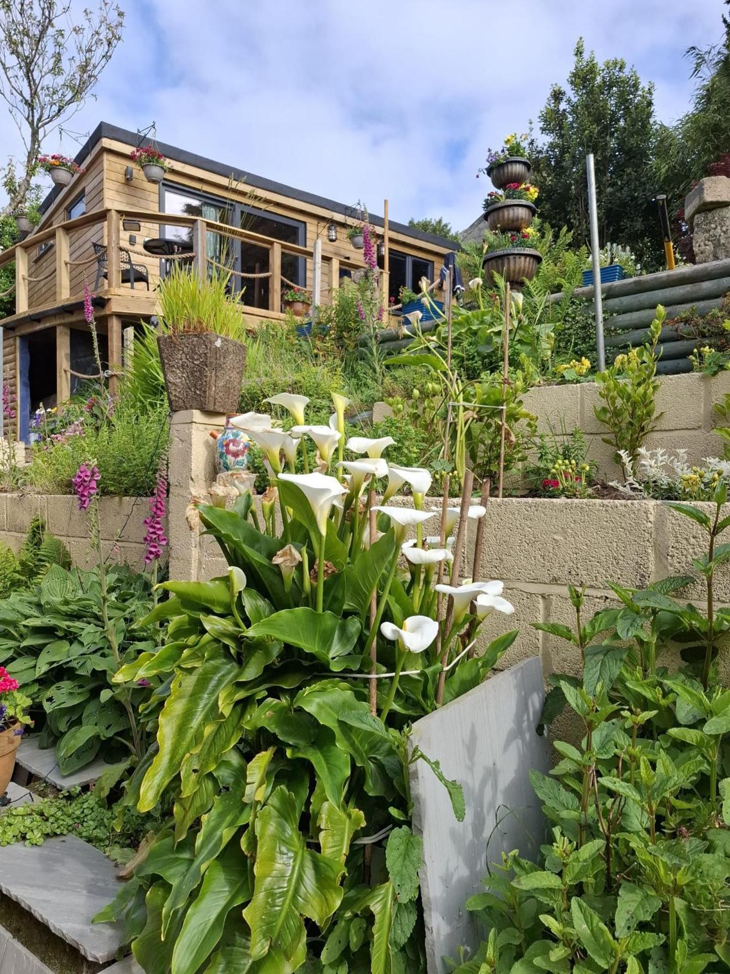 Cosy Cornish Cabin 圣奥斯特尔 外观 照片