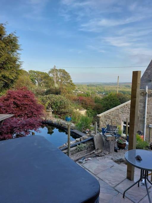 Cosy Cornish Cabin 圣奥斯特尔 外观 照片