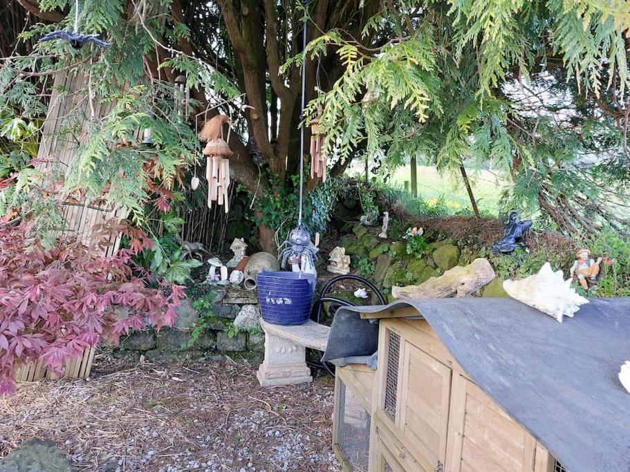 Cosy Cornish Cabin 圣奥斯特尔 外观 照片