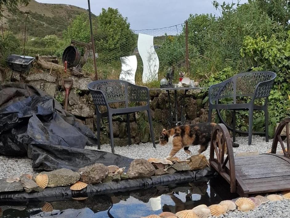 Cosy Cornish Cabin 圣奥斯特尔 外观 照片